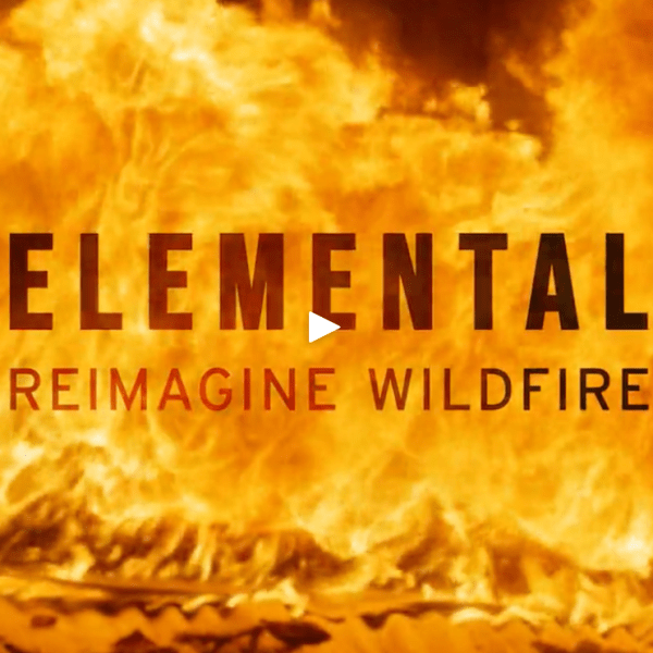 “Elemental” Documentary
