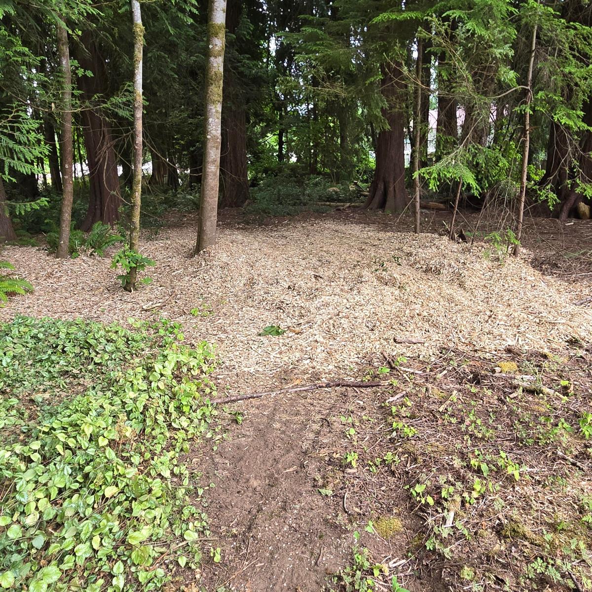 Chipping