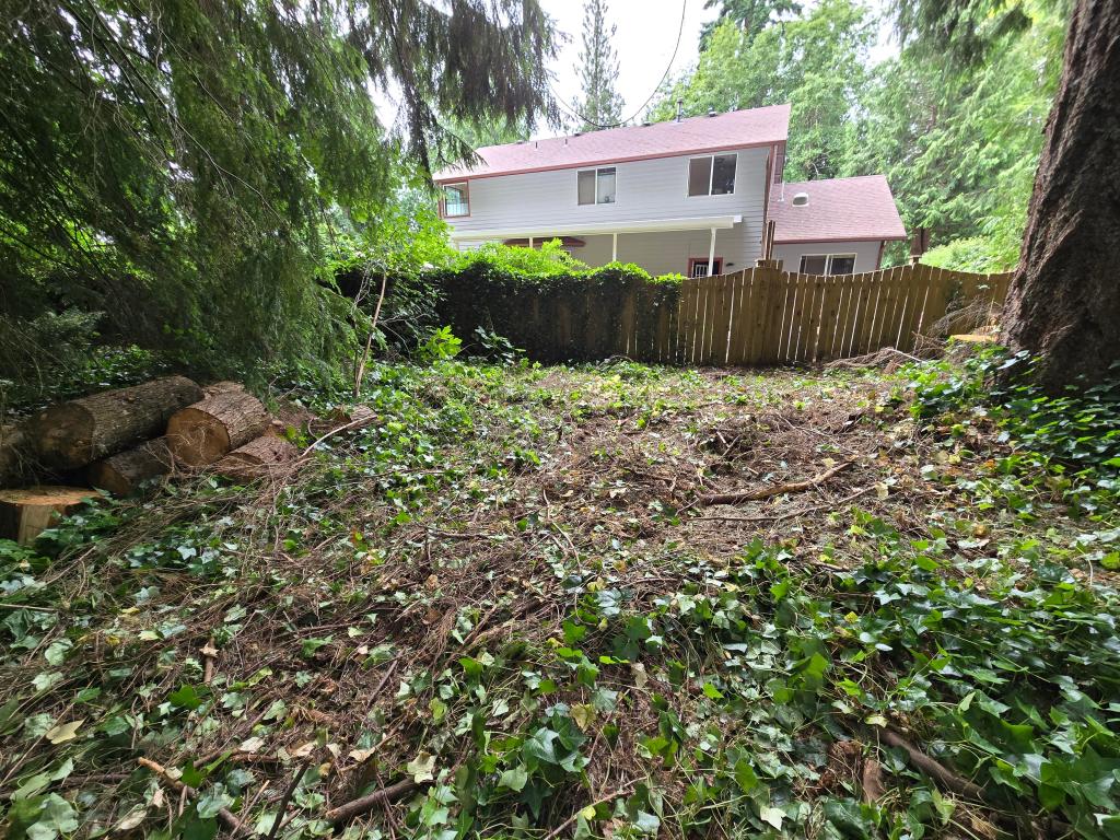 Invasives removed and wood stacked for neighbors.
