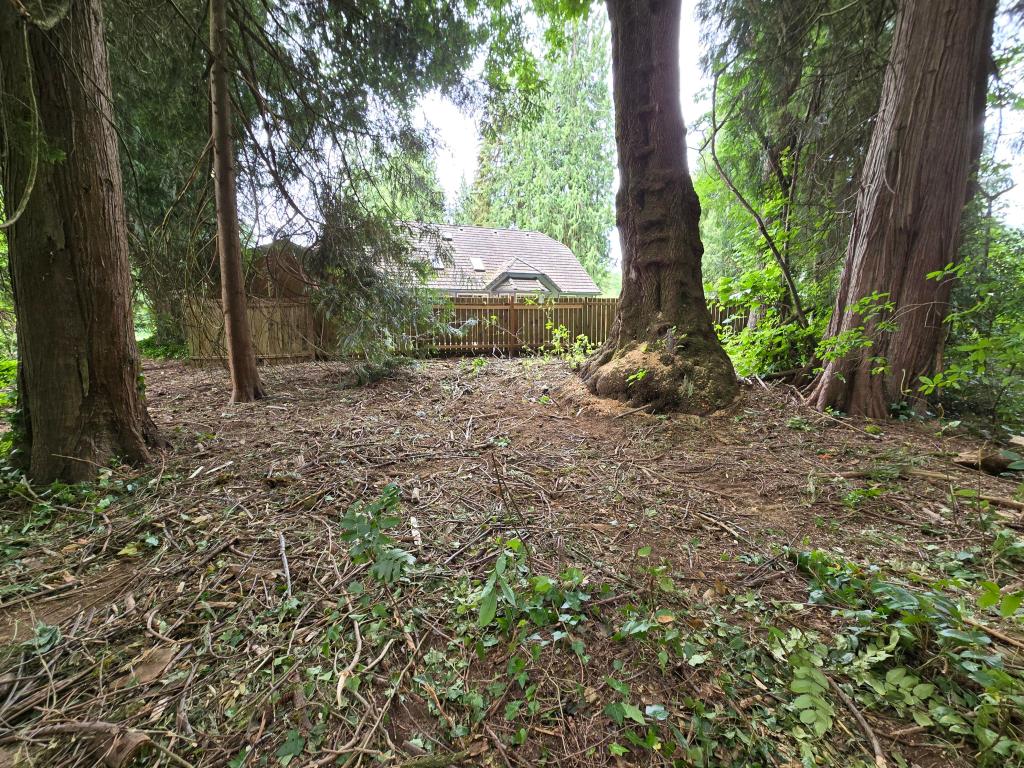 Cleared and ready to plant