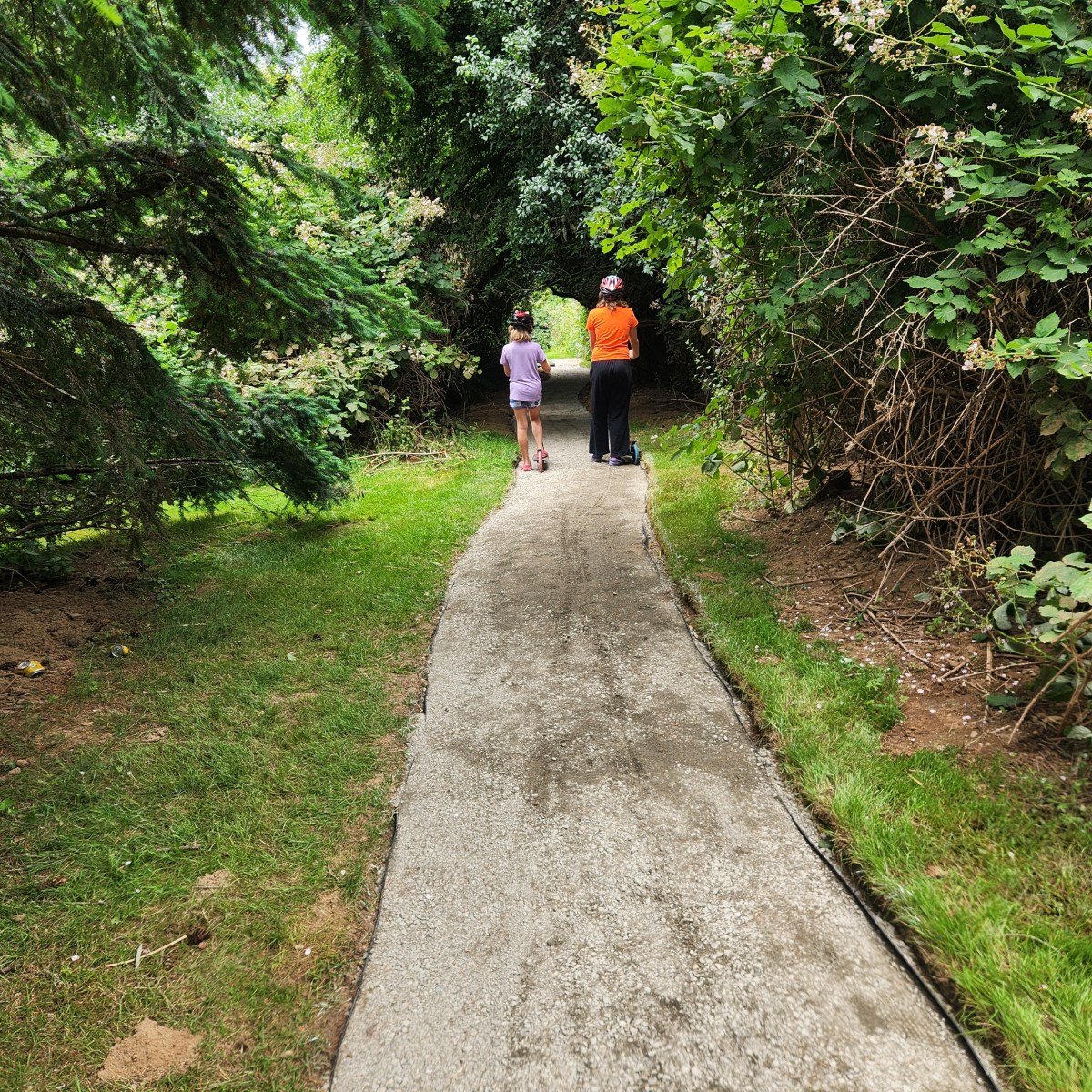 Trail Installation