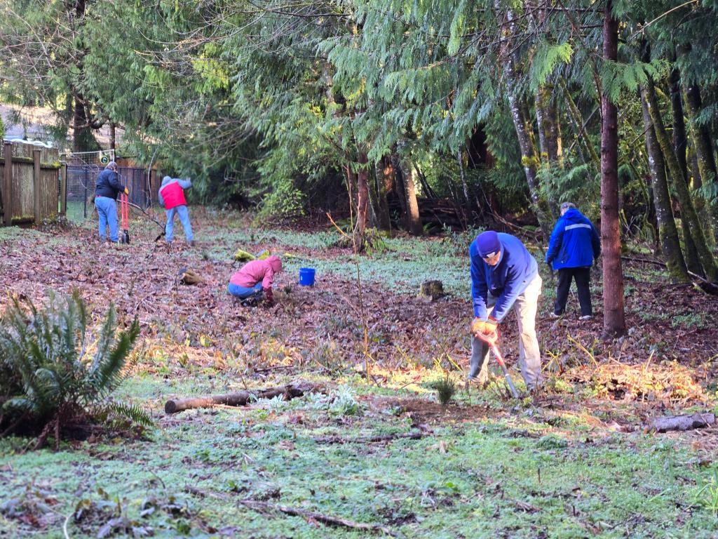 Volunteers planting Wilderness Park.