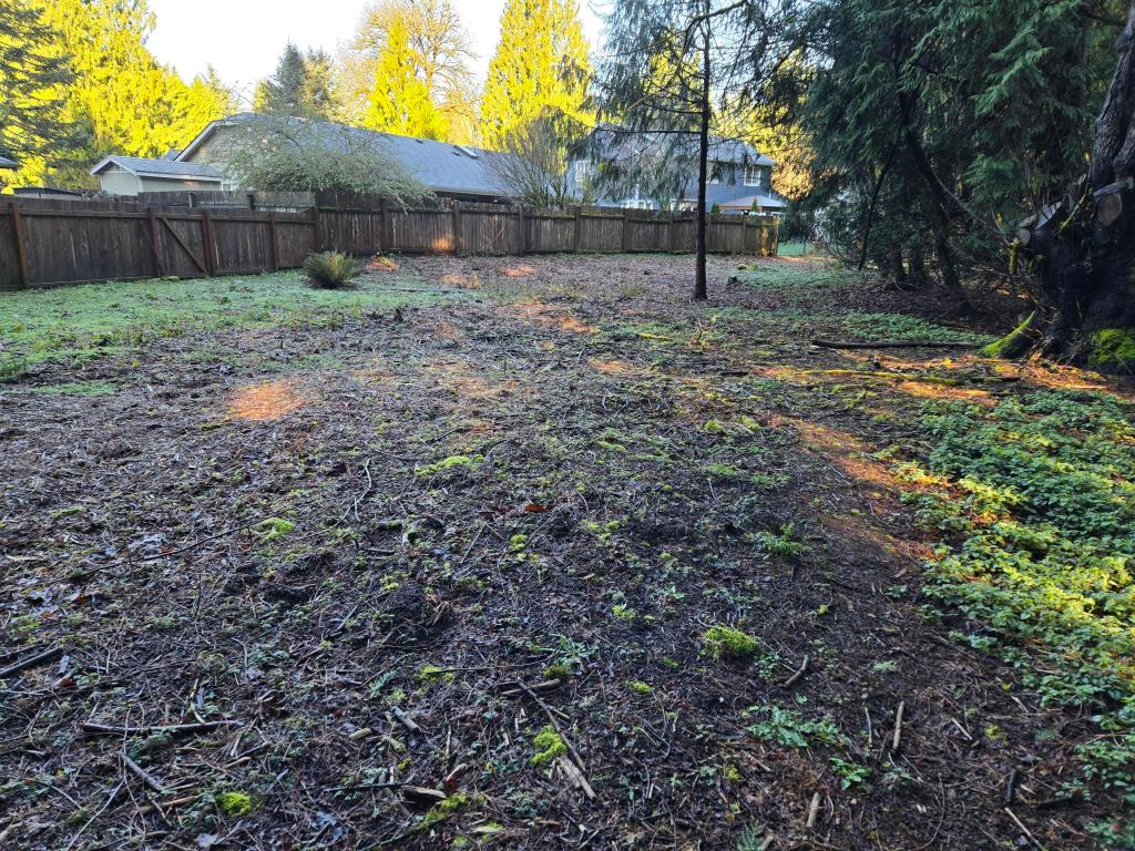 Cleared area before planting.
